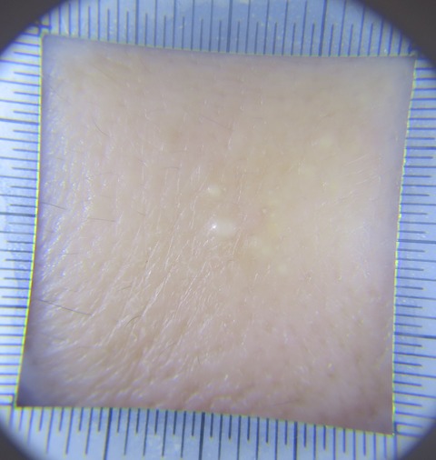 IMG_6006-t額206＿02