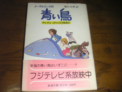 a9519435-s.jpg