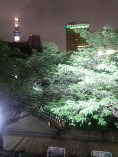 0617-6浅草夜