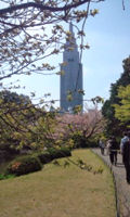 新宿御苑1