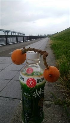 20190705163842_R