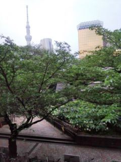 0617-5浅草昼