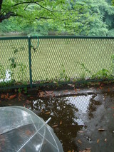 雨があがって・・・
