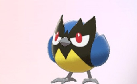 ポケモン ダイジェット弱体化案 効果を きりばらい フィールド解除 にする