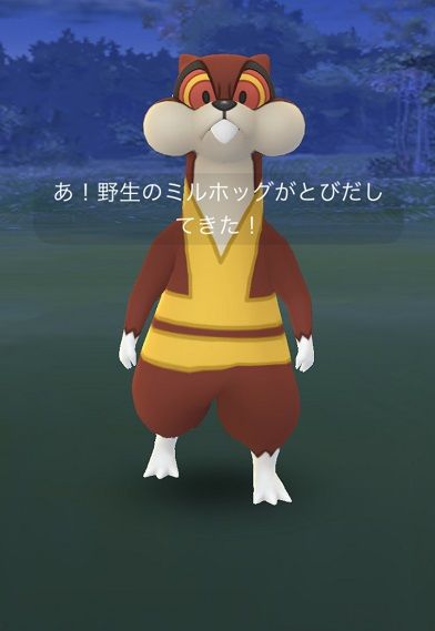 悲報 ミルホッグがbwポケモンのストーリーで頼りになる事実 忘れられる