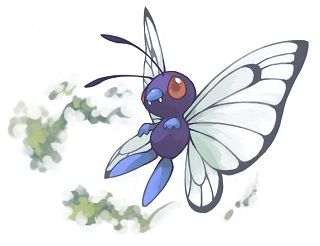 急募 バタフリー対策