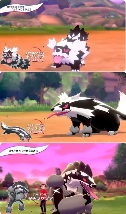 ポケモンのマッスグマ進化しててワロタwww何でこいつだけ進化したの w ポケモンアンテナサイト ポケモンのマッスグマ進化しててワロタwww何でこいつだけ進化したの w ポケモンアンテナサイト