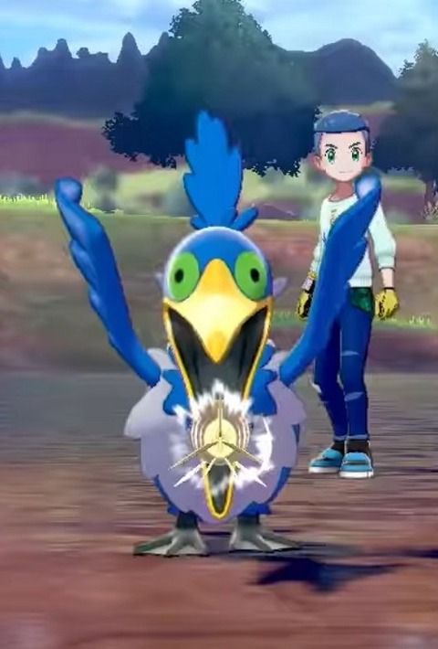 ポケモン剣盾の対戦環境って結局 良環境 なのか