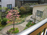 2階より中庭を眺め
