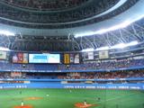 P1000016.jpg
