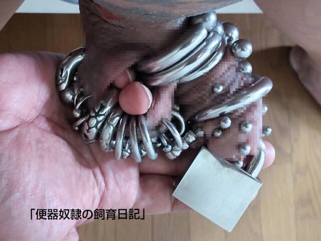 奴隷　ピアス　変態　 episode.5－性器ピアスの実情。 : 便器奴隷の飼育日記