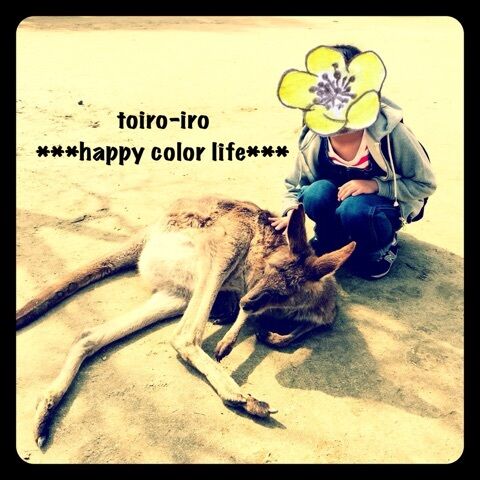 {6C612EAD-8C14-4910-A227-AA8CB8F35AD0:01}