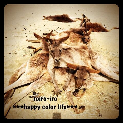 {4A4DEF65-C8C4-4106-B8CE-F94072212612:01}