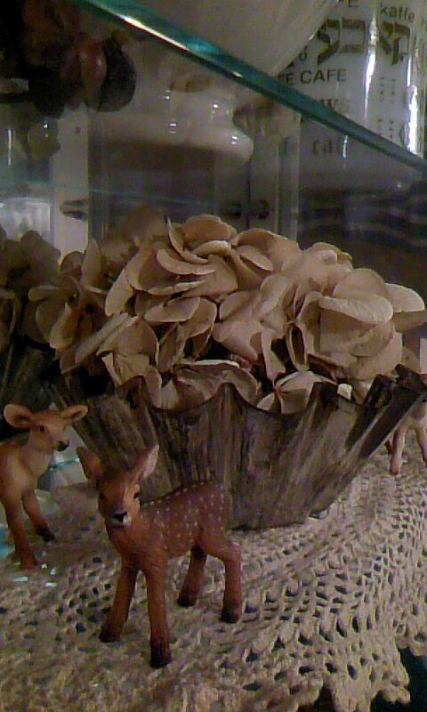 トイロイロ ***happy color life***-100110_0115~02.jpg