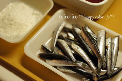 トイロイロ ***happy color life***-1
