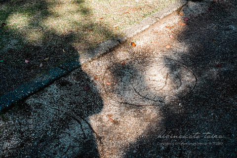 DSC04811