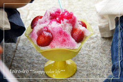 トイロイロ ***happy color life***-菖蒲祭り