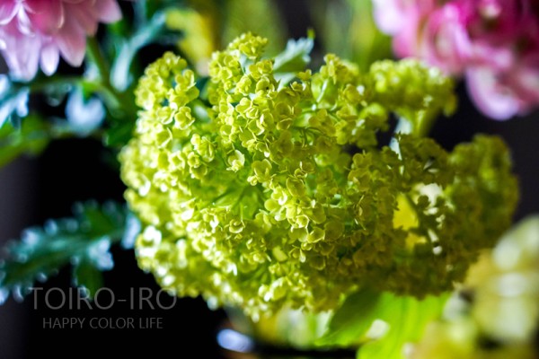1d3d54e7.jpg