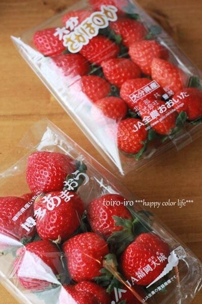 トイロイロ ***happy color life***