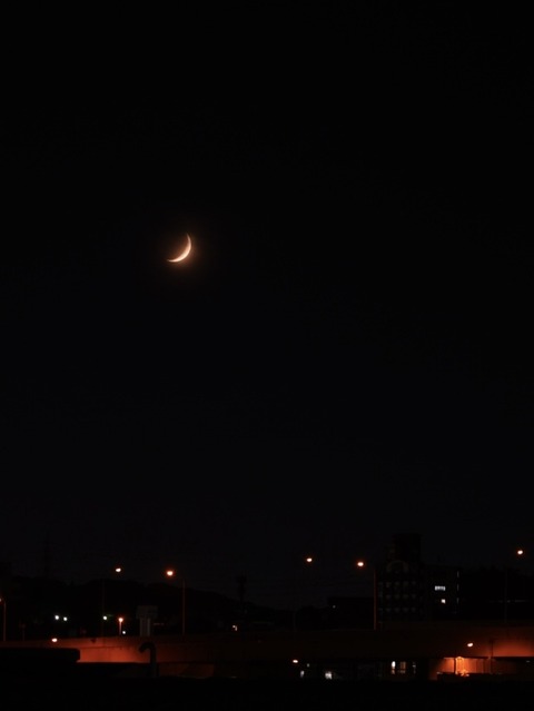 DSC05213