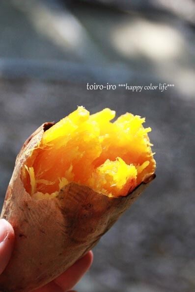トイロイロ ***happy color life***