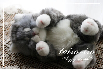 トイロイロ ***happy color life***-yume's