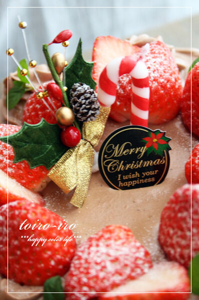 トイロイロ ***happy color life***-生チョコクリームのクリスマスケーキ