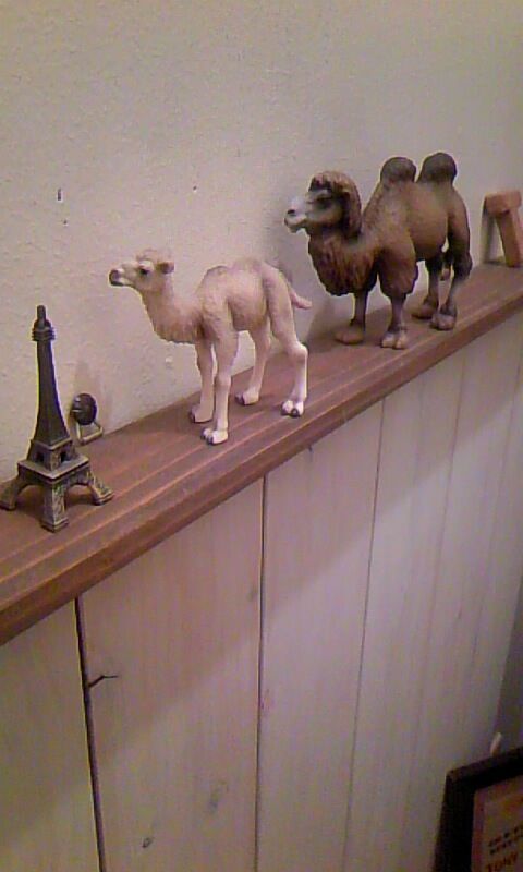 トイロイロ ***happy color life***-100110_0122~01.jpg