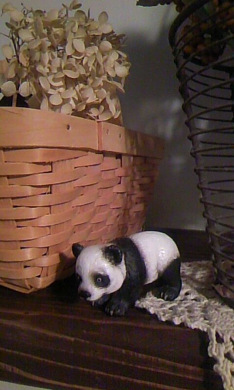 トイロイロ ***happy color life***-100110_0107~01.jpg