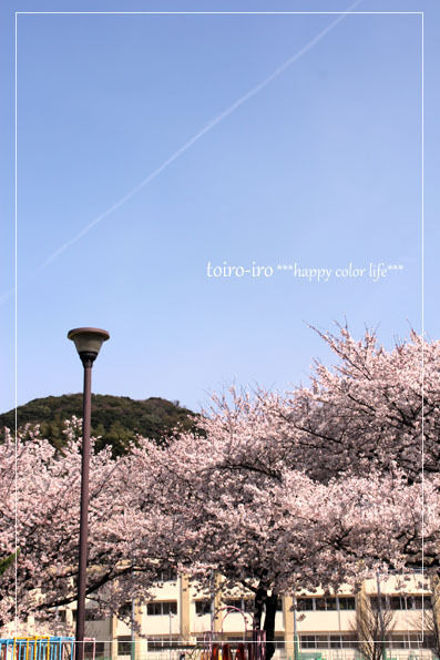 トイロイロ ***happy color life***-花見