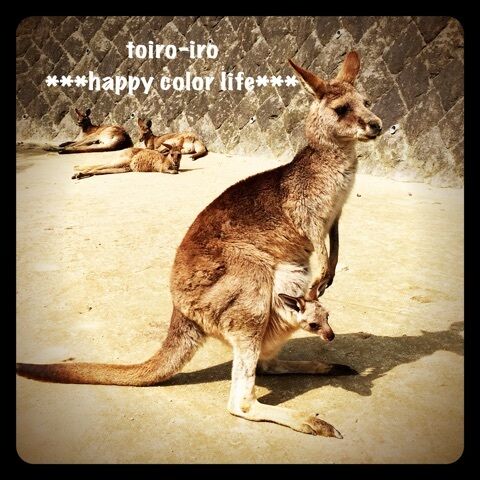 {2B896684-6BB1-4899-AE7A-7F4AB18C35F0:01}