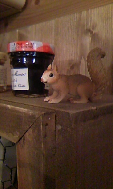 トイロイロ ***happy color life***-100110_0112~01.jpg