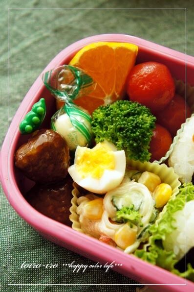 トイロイロ ***happy color life***-遠足のお弁当