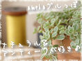トイロイロ ***happy color life***-ナチュラル＆アンティーク