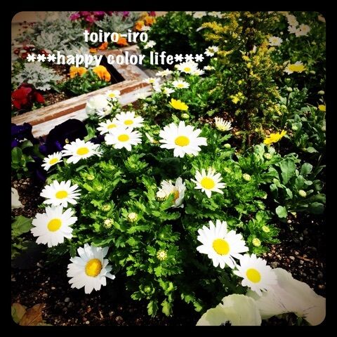 {EDB9181F-79D8-48ED-9A2E-BA0D4B1D10E8:01}