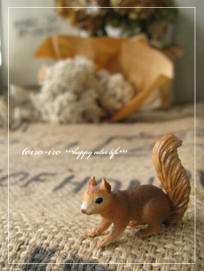 トイロイロ ***happy color life***-powershotG9での撮影画像