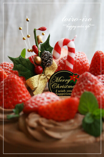 トイロイロ ***happy color life***-生チョコクリームのクリスマスケーキ