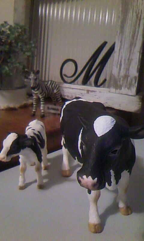 トイロイロ ***happy color life***-100110_0116~01.jpg