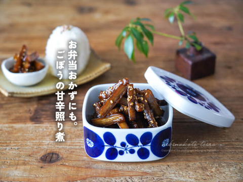 DSC02258-670x502 (1)