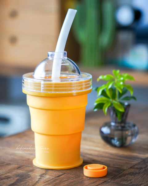 DSC07332