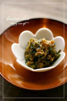 トイロイロ ***happy color life***-negi