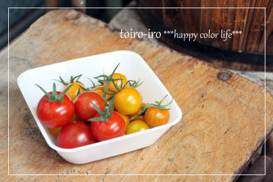 トイロイロ ***happy color life***-収穫