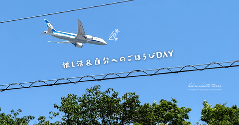 アイキャッチ画像