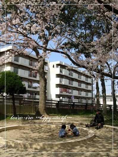 トイロイロ ***happy color life***-2010春