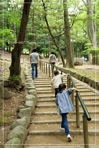 トイロイロ ***happy color life***-菖蒲祭り
