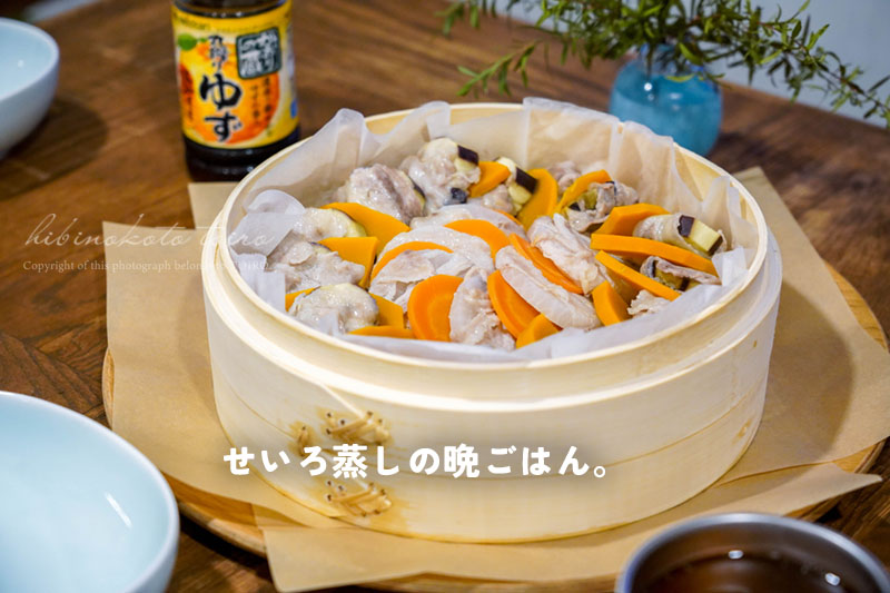 電気蒸し器 二段式 竹製蒸し器付き 【公式通販】