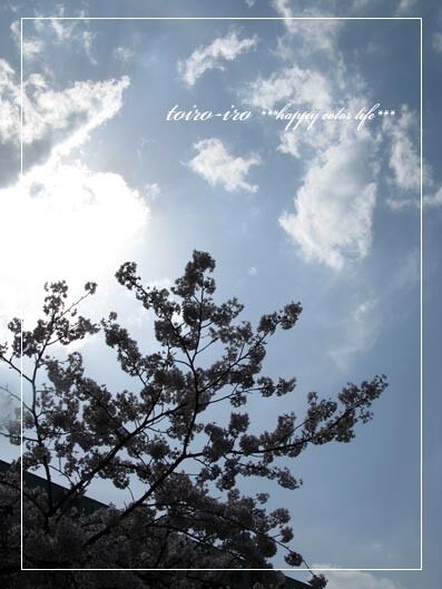 トイロイロ ***happy color life***-2010春