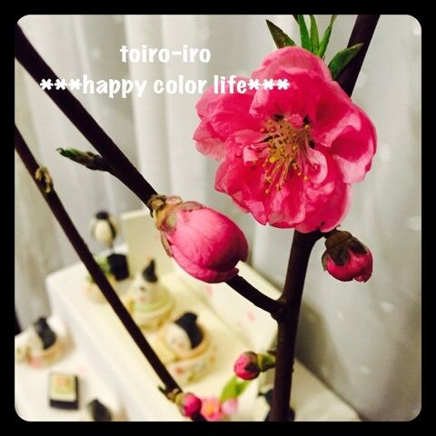 {8CBFD1E4-1EAD-4A2B-A1F1-C054D5A76213:01}