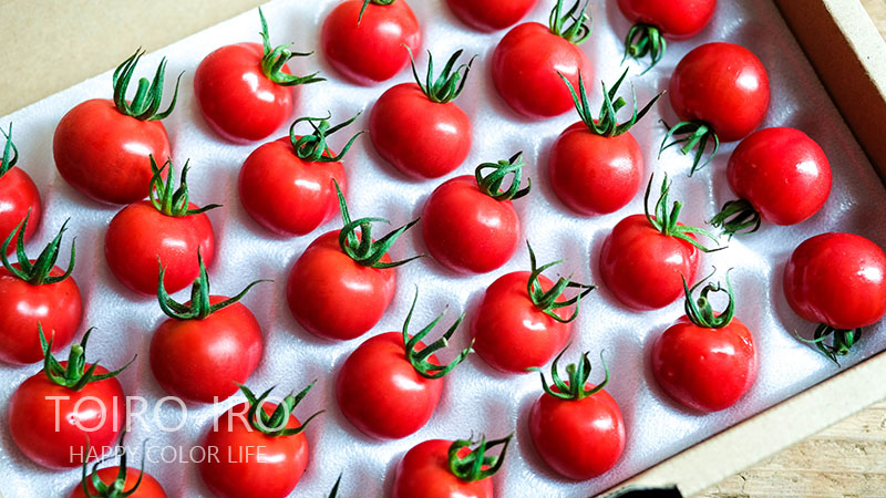 ピンクエッグトマトの種(自然栽培)