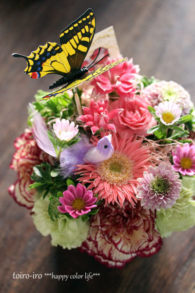 トイロ オフィシャルブログ「トイロイロ ***happy color life***」Powered by Ameba